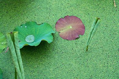 强尼凯奇扮演者暗示《真人快打12》制作中